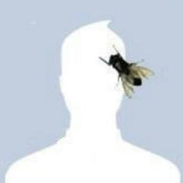 Foto de perfil de José Izquierdo Chávez